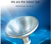 Succulent Nourishing Light Full Spectrum UVB Metal Halide Lamp 70 watt UV Explosion Bath Imitation Sun Anti Staining Plant Growth Lamp