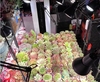 Succulent Nourishing Light Full Spectrum UVB Metal Halide Lamp 70 watt UV Explosion Bath Imitation Sun Anti Staining Plant Growth Lamp